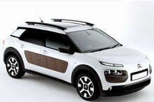 C4 Cactus