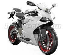 Panigale 899