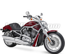 V-Rod 1130 - 1250