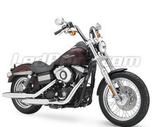 Street Bob 1584