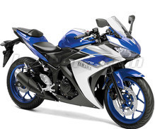 YZF-R3 300