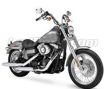 Street Bob 1450