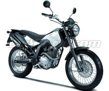 Cross City 125