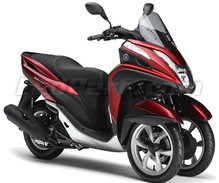 Tricity 125