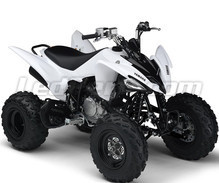 YFM 250 R Raptor