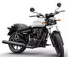 LED žiarovky a Xenon sady pre Royal Enfield Thunderbird 350X (2018 - 2020)