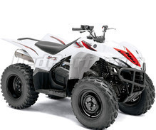 YFM 450 Wolverine