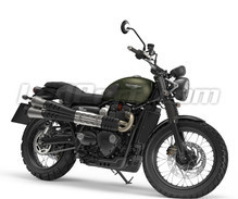 Street Scrambler 900