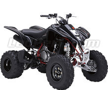 LTZ 400 Quadsport