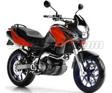 Pegaso Strada Trail 650