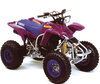 štvorkolka Yamaha YFS 200 Blaster (1990 - 2002) (1990 - 2002)