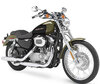 Motocykel Harley-Davidson Custom 883 (1999 - 2009)