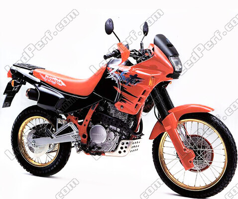 Motocykel Honda NX 650 Dominator (1993 - 2002)