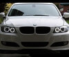 Balíček LED angel eyes pre BMW rady 3 (E90 - E91) Fáza 2 (LCI) - S xenónom z výroby - Štandard