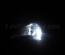 Balíček LED parkovacích svetiel (biely xenón) pre Fiat Grande Punto